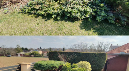 652557882_26242702248682482_7836309499896491906_n